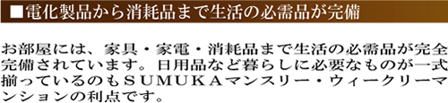 電化製品から消耗品まで生活の必需品が完備